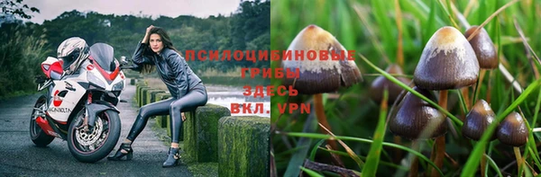 прущий лед Горно-Алтайск