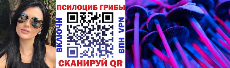 Псилоцибиновые грибы прущие грибы  закладка  маркетплейс как зайти  Чёрмоз  kraken зеркало 